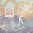 Cover of Bright Whites by Kishi Bashi